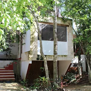 Casa Del Arbol At Duendes Luxury tent